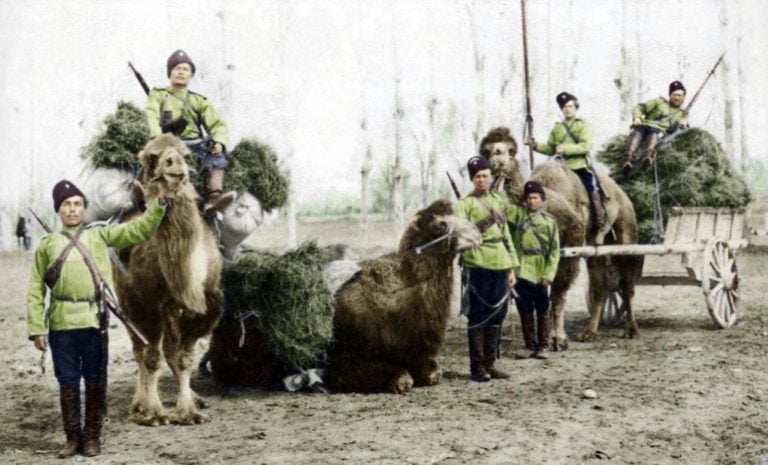 The Russian Conquest of Central Asia and the Myth of the “Great Game”- Dr Alexander Morrison