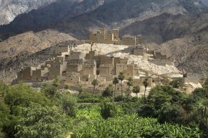Saudi Arabia: A Cultural Renaissance - Richard Wilding