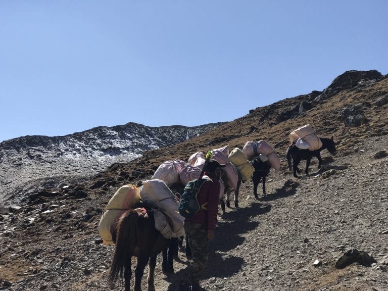 More-Than-Human Heritages of the Bhutanese Highlands