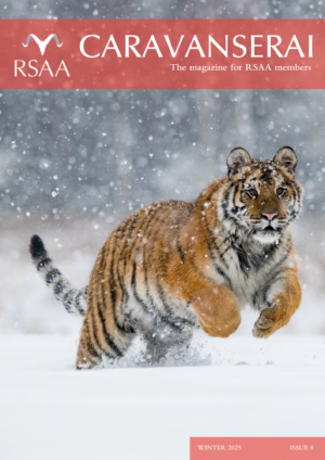 Caravanserai Issue 8