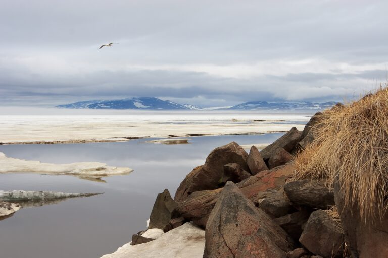 Permafrost Politics: How Thawing Ground Is Rewriting Asia’s Strategic Map