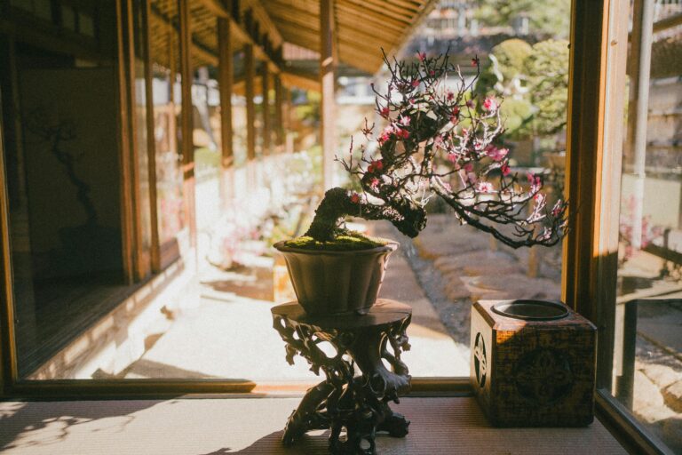 Japanese Wisdom for Export